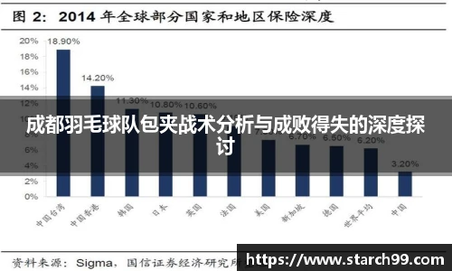 成都羽毛球队包夹战术分析与成败得失的深度探讨